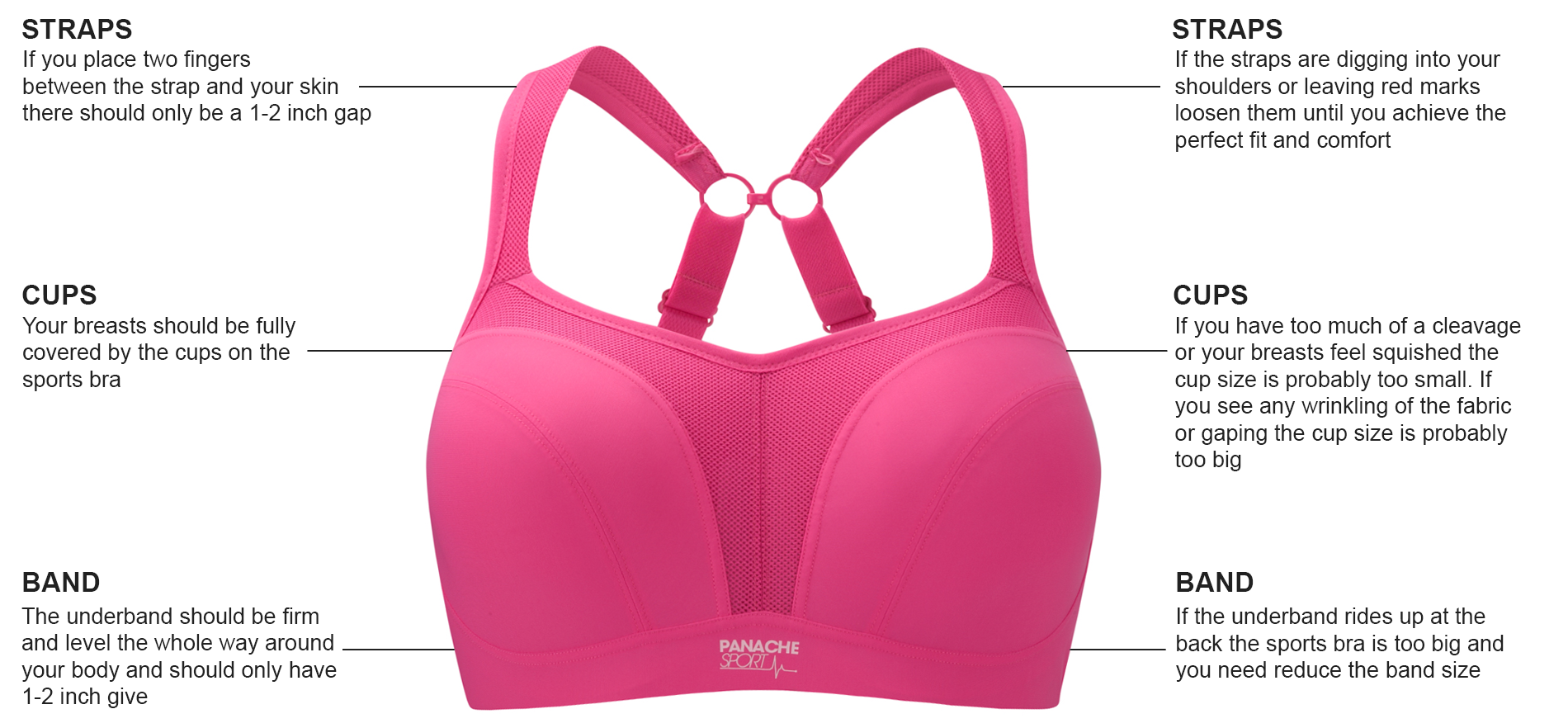 panache sports bra sizing