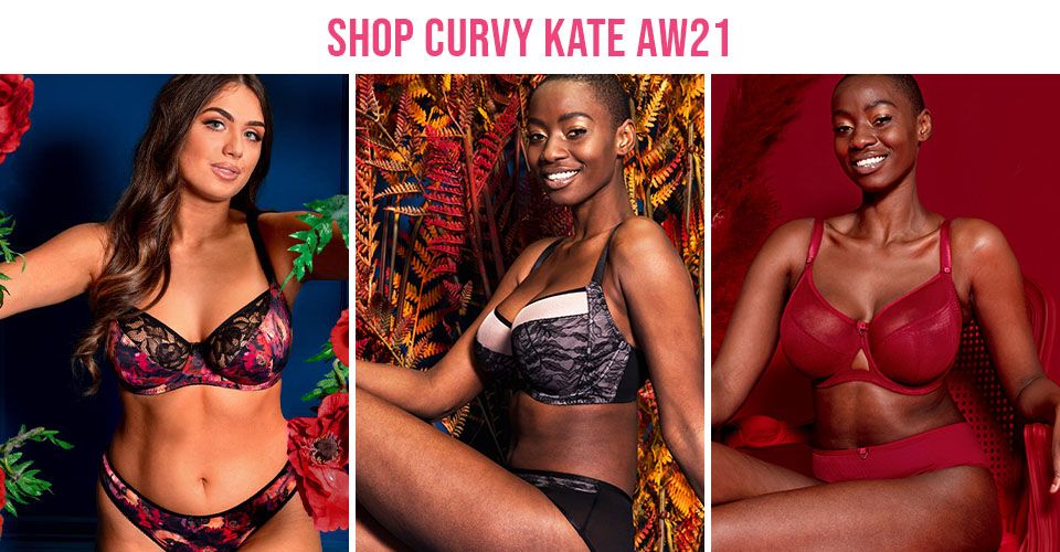 new curvy kate