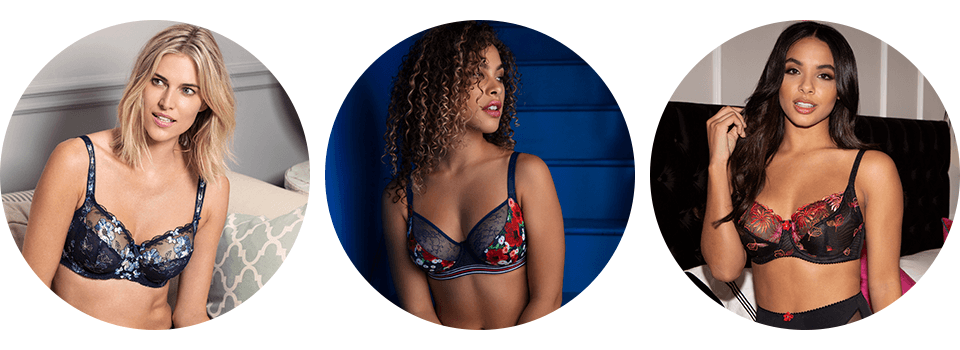 🚨 Discontinued SALE Bras  When They're Gone, They're Gone! - Belle  Lingerie