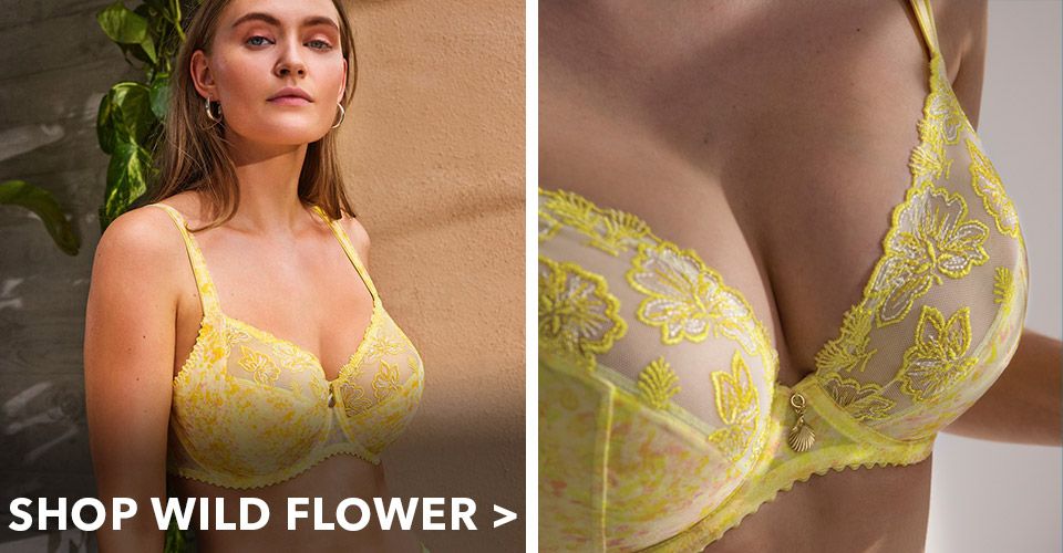 prima donna wild flower, shop now