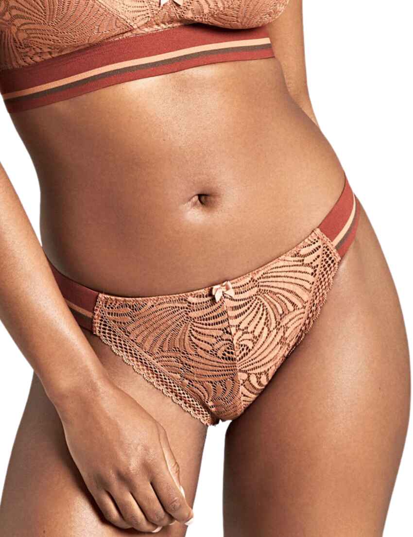 Panache Harmony Coral Thong Style 4039 Size 12 or 14