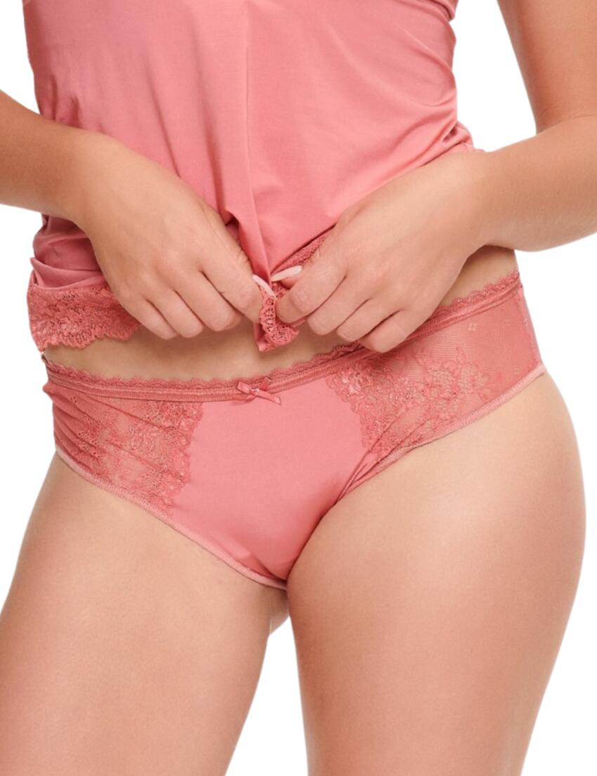 Lingadore Basic Collection Brief Faded Rose