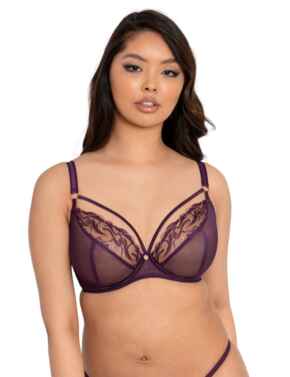 Scantilly by Curvy Kate Fascinate Plunge Bra Plum