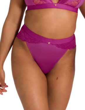 Scantilly by Curvy Kate Indulgence High Waist Brief Orchid/Latte