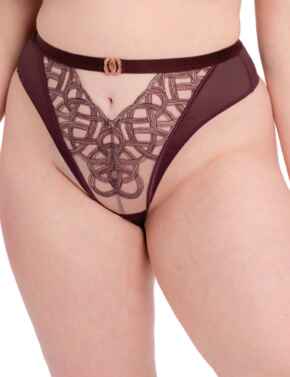 Scantilly by Curvy Kate Lovers Knot Thong Fig/Latte