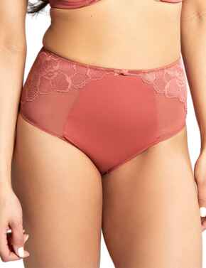 ROCHA High-Waisted Brief – Belle Lacet Lingerie