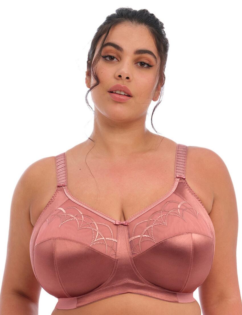 Bras in 36H for Elomi