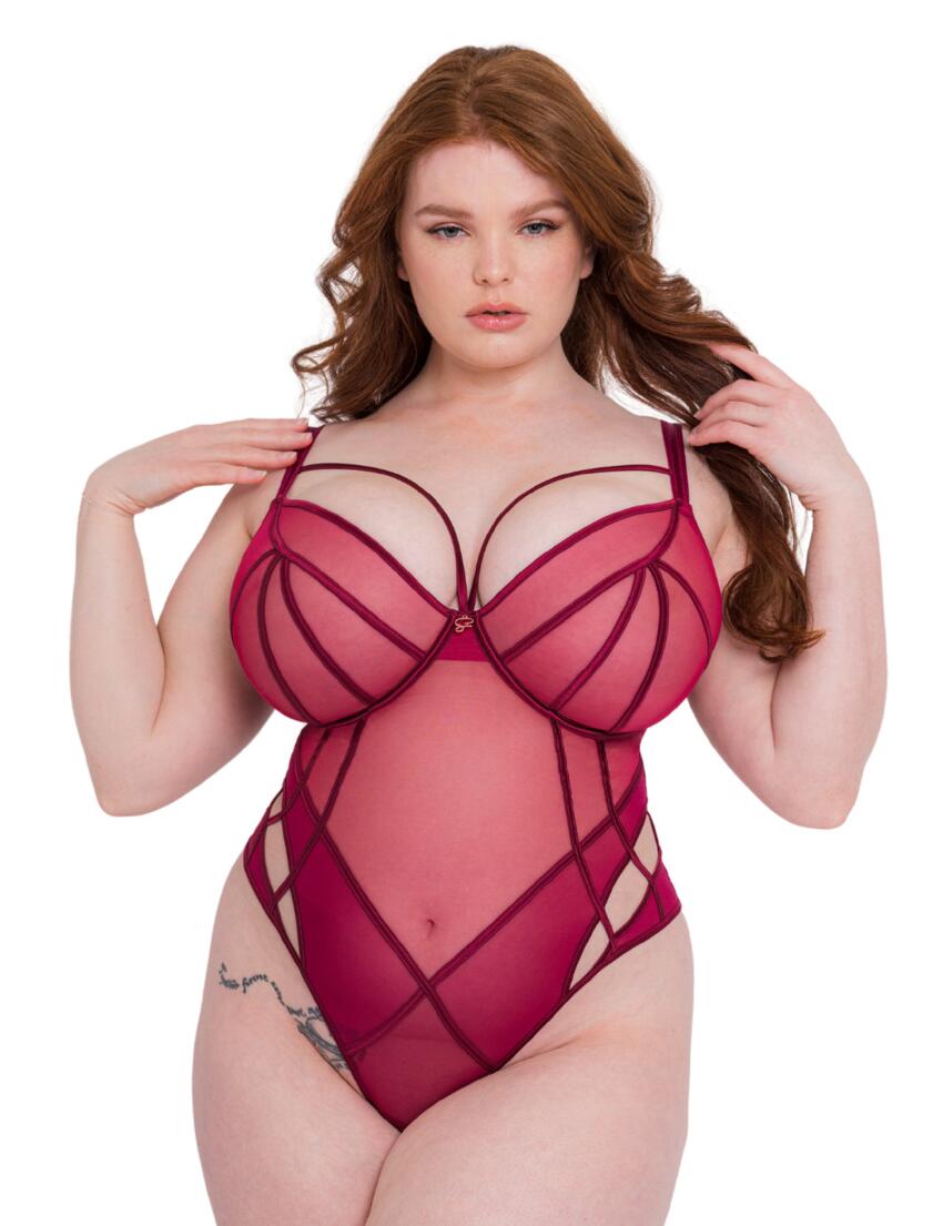 ST027704 Scantilly by Curvy Kate Senses Plunge Body - ST027704 Cherry