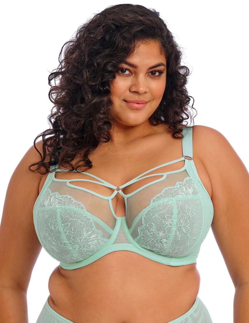 Elomi Brianna Plunge Bra Frozen