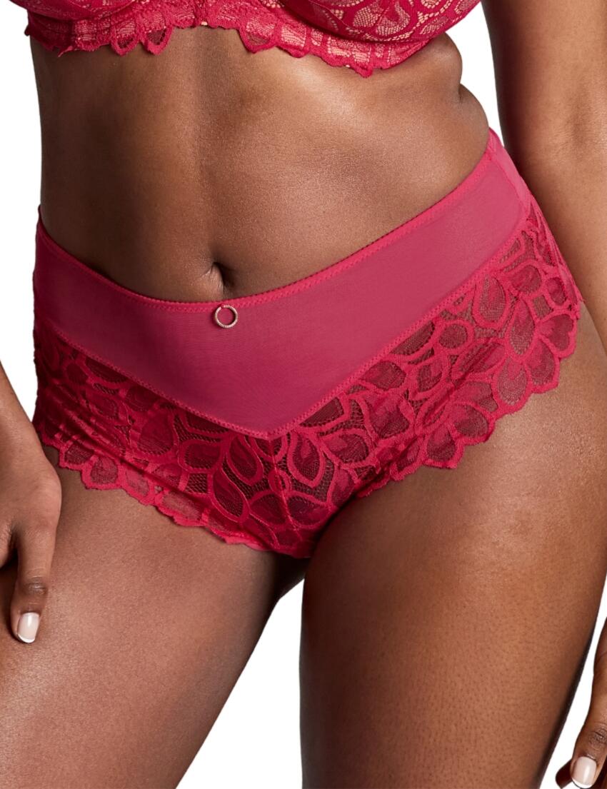 Panache Allure Deep Brief Raspberry