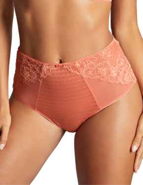 Panache Envy Deep Brief Terracotta