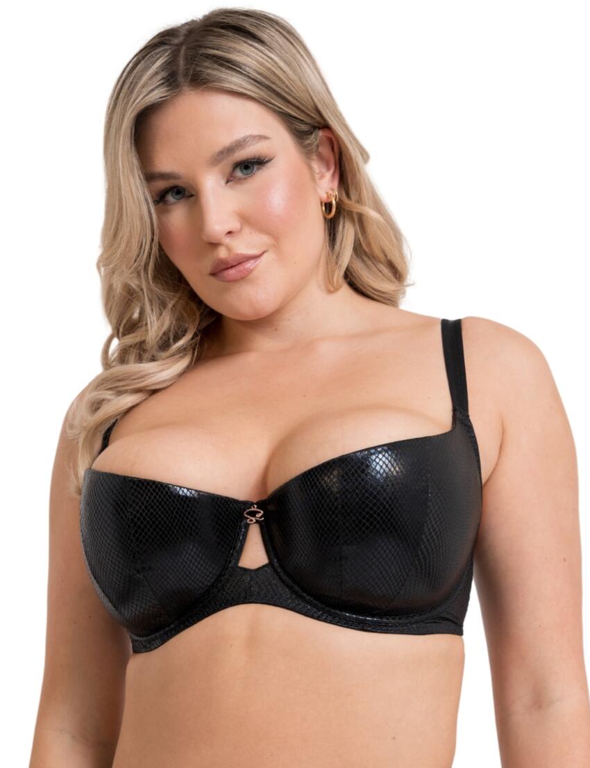Scantilly by Curvy Kate Serpent Padded Half Cup Bra Black