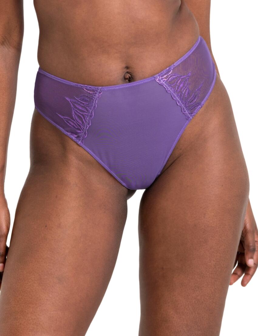 Curvy Kate Flare Deep Thong Amethyst Purple