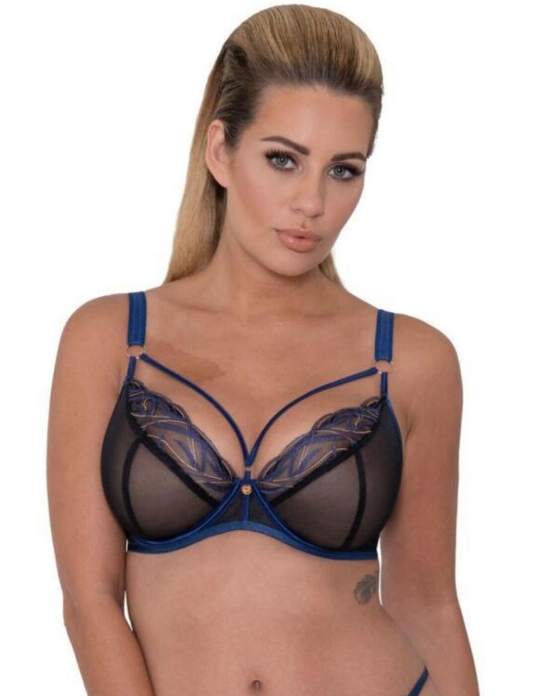 Scantilly By Curvy Kate Submission Plunge Bra Belle Lingerie Scantilly By Curvy Kate