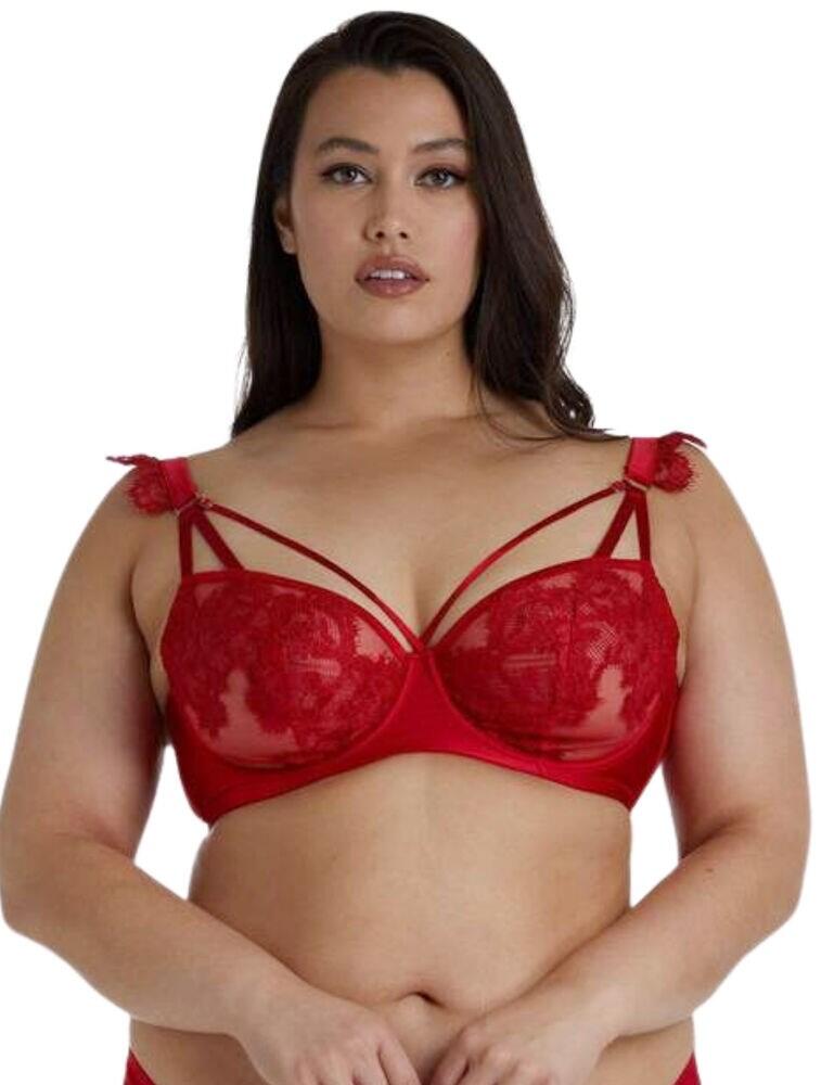 Playful Promises Anneliese Satin Net and Lace Bra Curve - Belle Lingerie