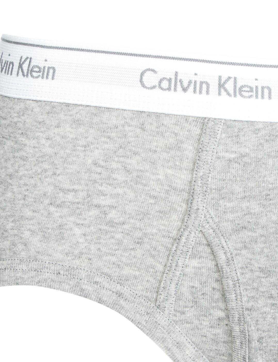 Calvin Klein Cotton Classics Briefs 3 Pack - Belle Lingerie | Calvin ...