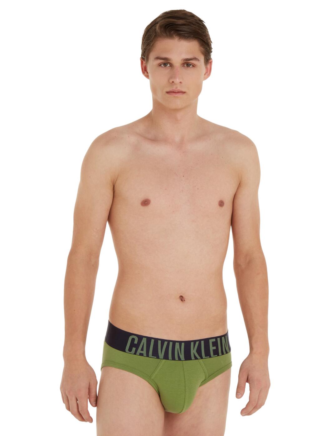 Buy Calvin Klein Men's Underwear Intense Power Micro Hip Briefs