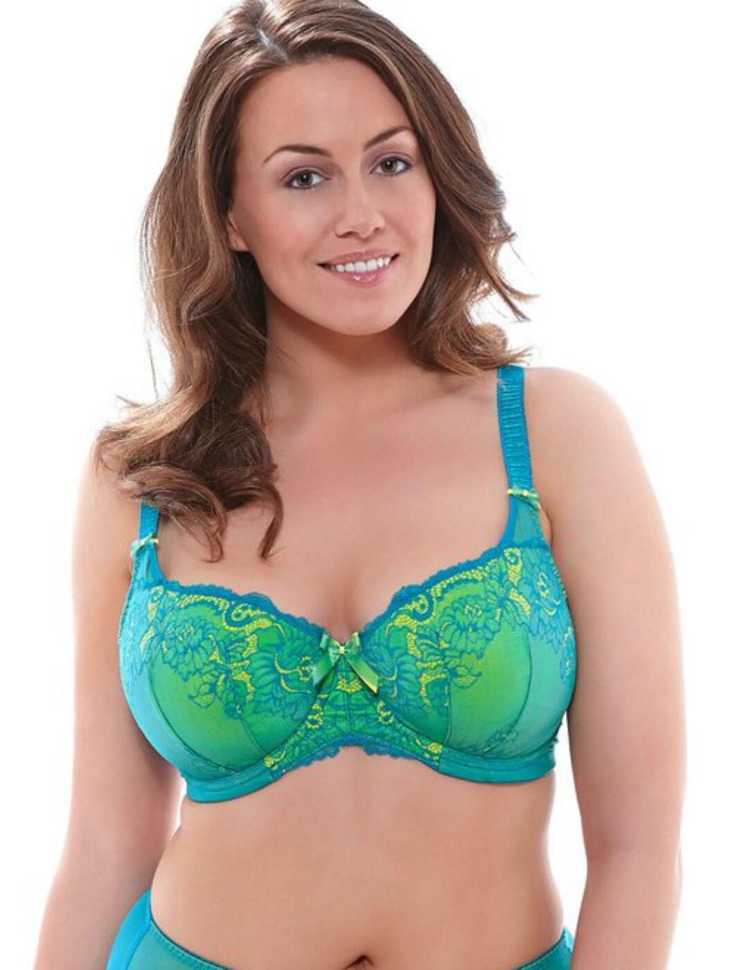 sears ladies bras