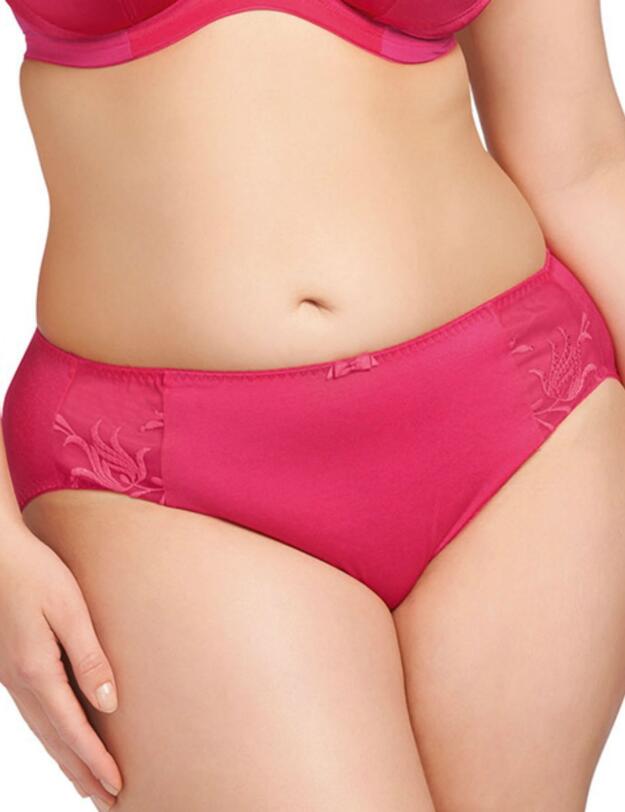 8035 Elomi Caitlyn High Rise Brief Raspberry - 8035 Raspberry