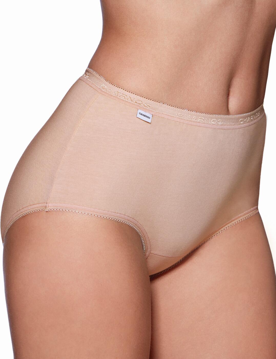 1389100 Charnos 2 Pack Maxi Brief  - 1389100 Nude