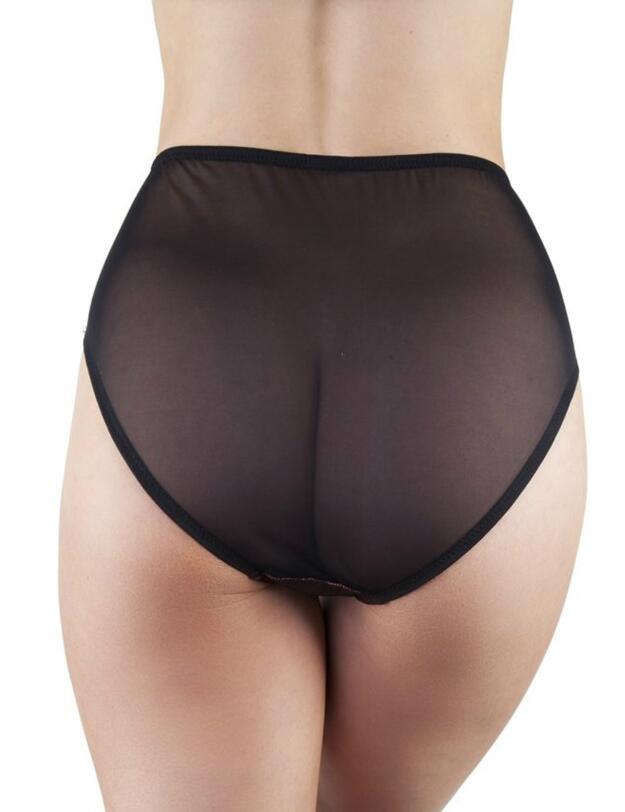 PPHW3057T Playful Promises Irena Satin and Lace High Waisted Brief - PPHW3057T Teal