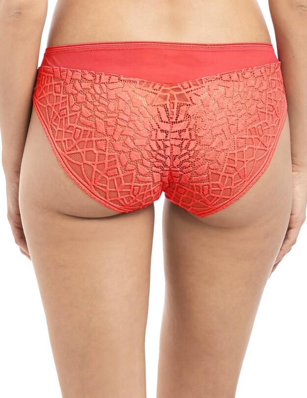 5015 Freya Soiree Lace Brief - 5015 Coral