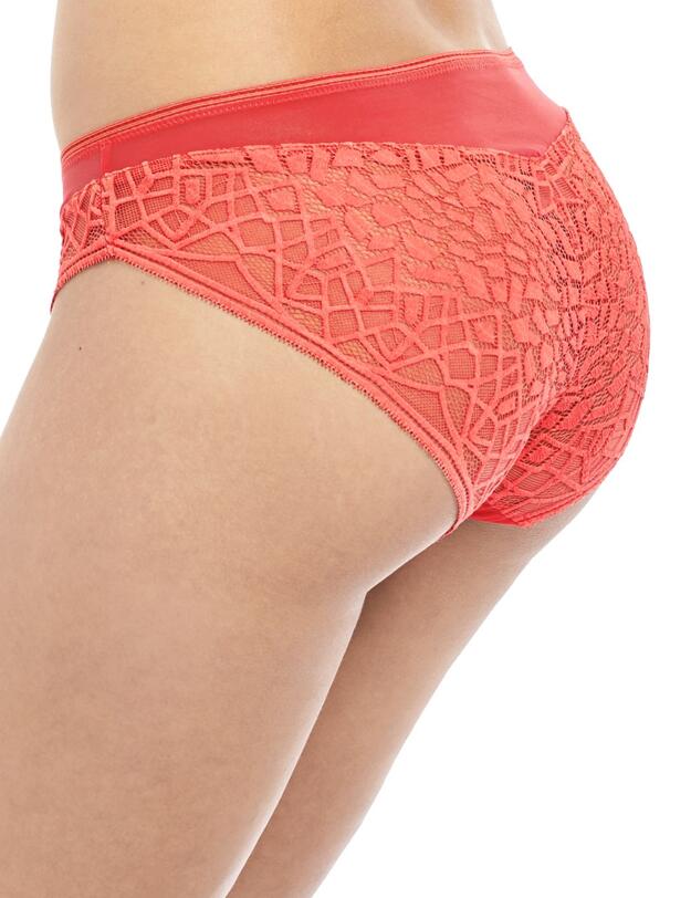 5015 Freya Soiree Lace Brief - 5015 Coral