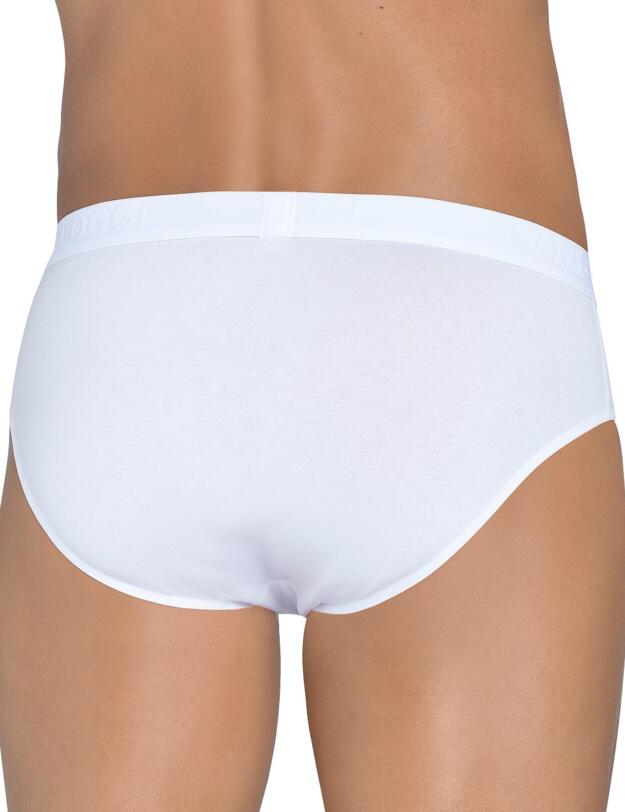 10156828 Sloggi Men Evernew Midi Brief (2 Pack) - 10156828 White
