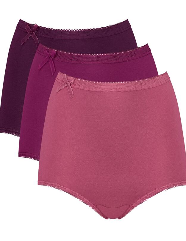 10189217 Sloggi Basic+Gift Box Maxi Brief (3 Pack) - 10189217 Red/Light Combination