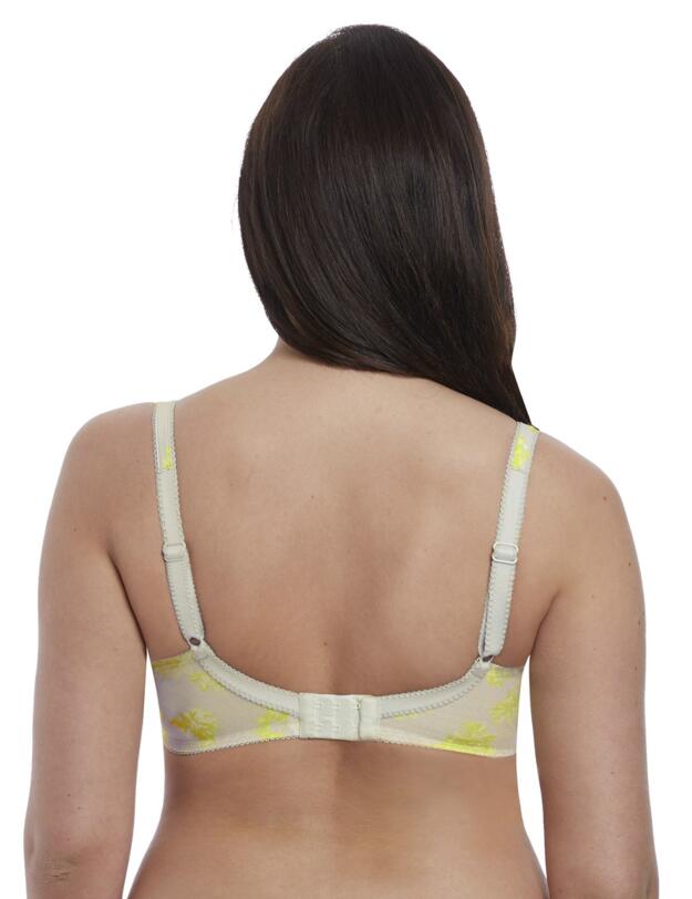 5311 Freya Limelight Underwired Plunge Bra - 5311 Zest