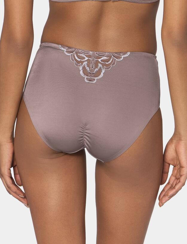 10156675 Triumph Modern Finesse Maxi Brief  - 10156675 Tile Brown