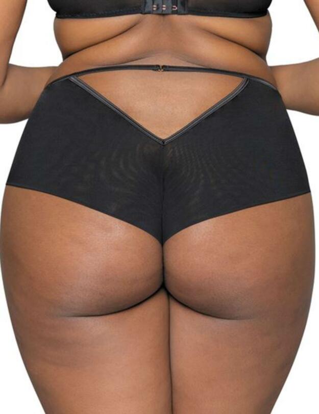 ST006208 Scantilly By Curvy Kate Rapture High Waist Brief - ST006208 Black