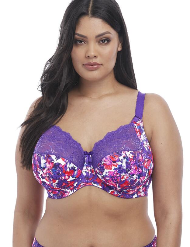 4110 Elomi Morgan Underwired Bra - 4110 Carnival