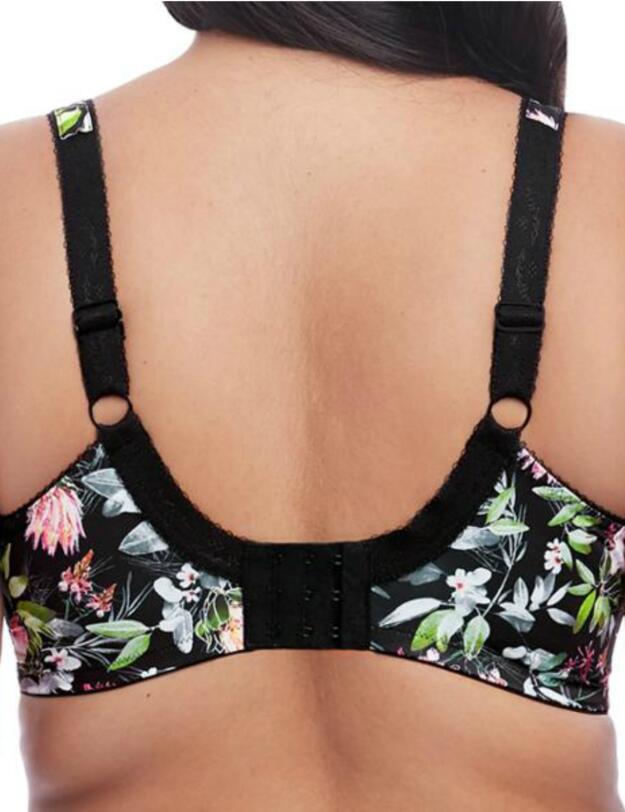 4420 Elomi Mariella Full Cup Bra  - 4420 Paradise