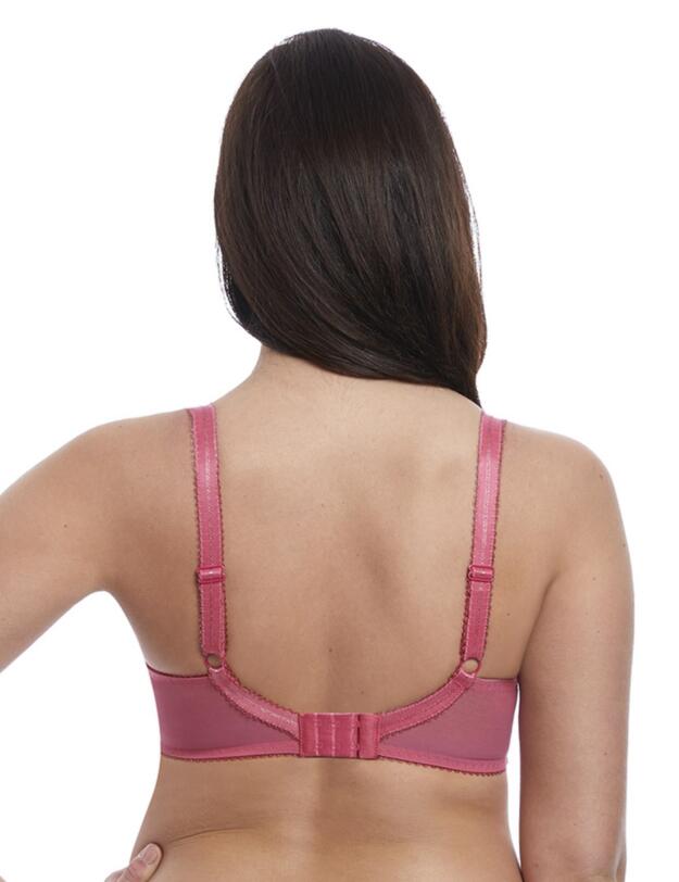 Freya Love Note Padded Plunge Bra Rose