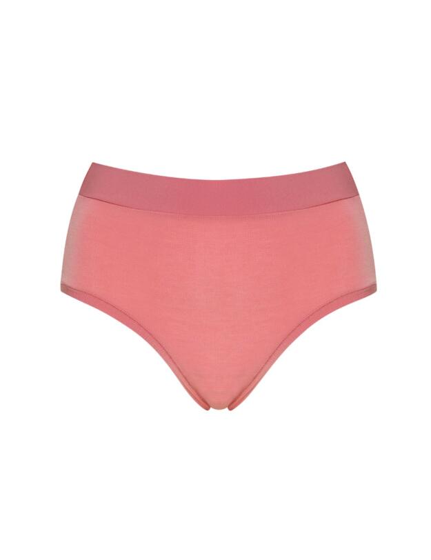 10201627 Sloggi Go Allround Maxi Brief - 10201627 Indian Summer