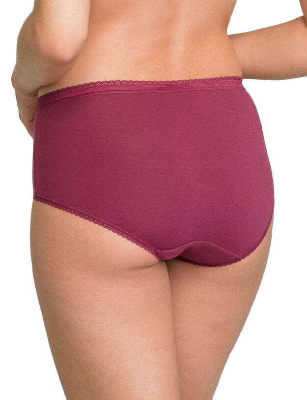 P00BQ6 Playtex Pure Cotton Maxi Stretch Brief 6 Pack - P00BQ/6 Dark Berry/Intense Blue/White