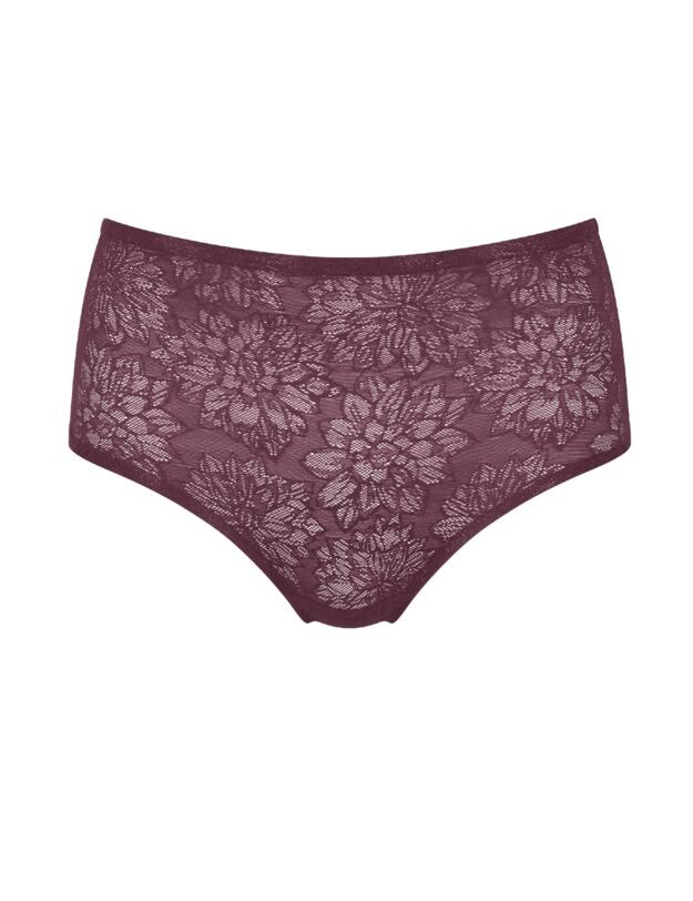 10202477 Triumph Fit Smart Maxi Brief  - 10202477 Brandy