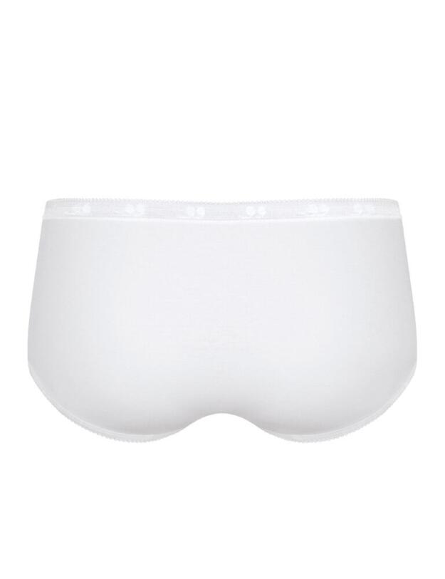 10198028 Sloggi Basic + Holiday Midi Brief 3 Pack - 10198028 Blue/Light Combination