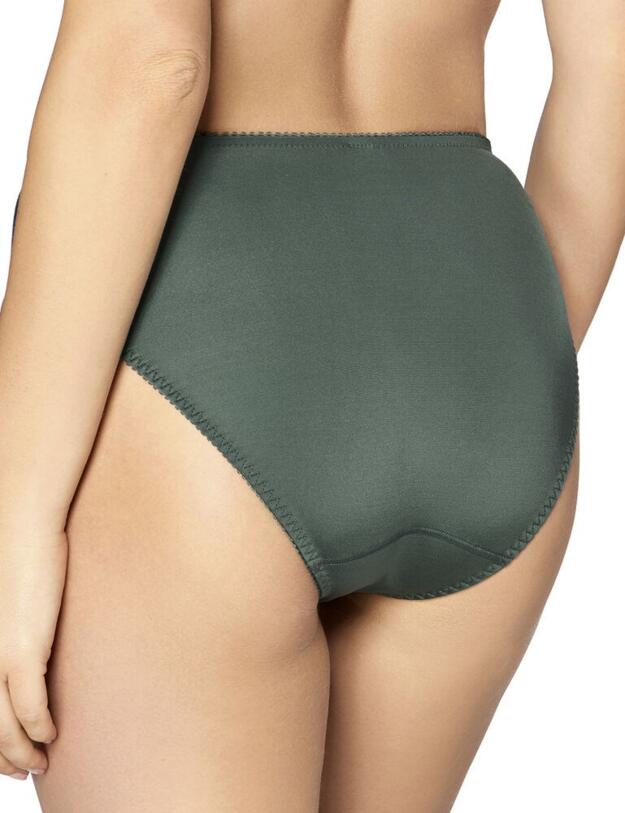 10195909 Triumph Ladyform Soft Tai Brief - 10195909 Smoky Green