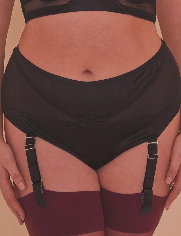 PPCCB3177 Playful Promises Aurora Mesh & Satin High Waist Brief Curve - PPCCB3177 Black