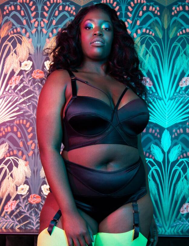 PPCCB3177 Playful Promises Aurora Mesh & Satin High Waist Brief Curve - PPCCB3177 Black