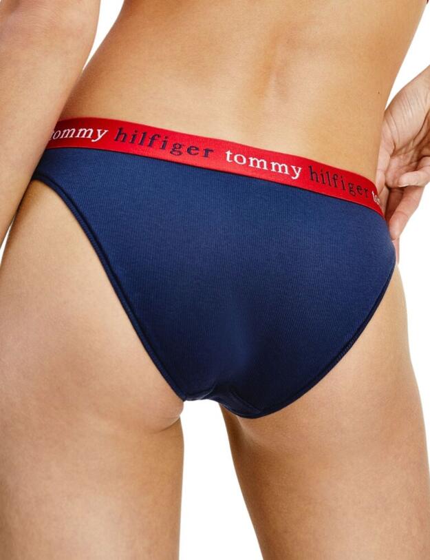UW0UW02201 Tommy Hilfiger Briefs - UW0UW02201 Navy Blazer