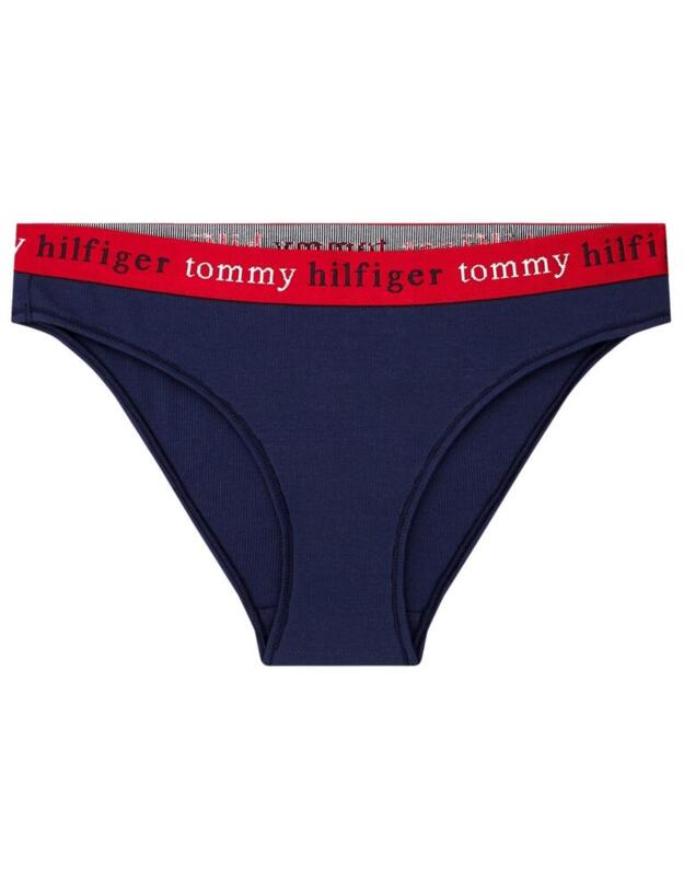 UW0UW02201 Tommy Hilfiger Briefs - UW0UW02201 Navy Blazer