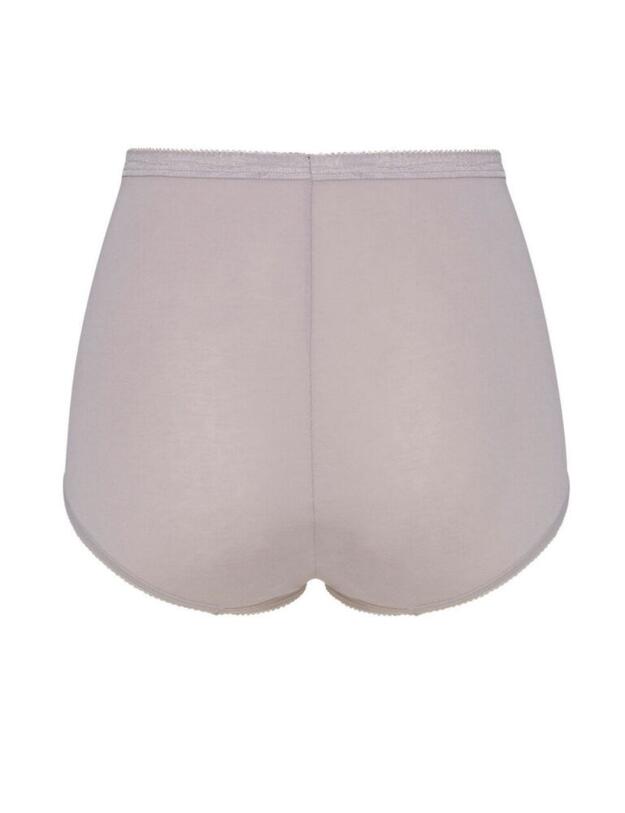 10103326 Sloggi Basic+ 4 Pack Maxi Brief - 10103326 Brown Combination
