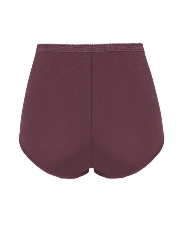 10103326 Sloggi Basic+ 4 Pack Maxi Brief - 10103326 Brown Combination