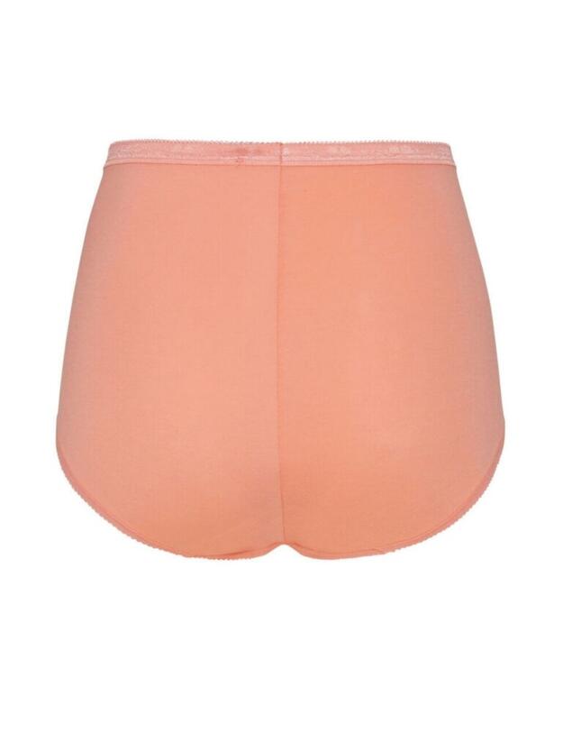 10103326 Sloggi Basic+ 4 Pack Maxi Brief - 10103326 Brown Combination
