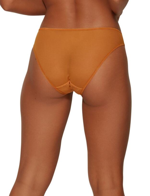 Gossard Glossies Lace Brief Spiced Honey