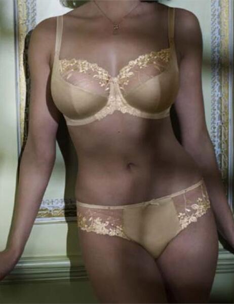 AS004 Charnos Anais Brief Biscotti SALE - AS004 Brief