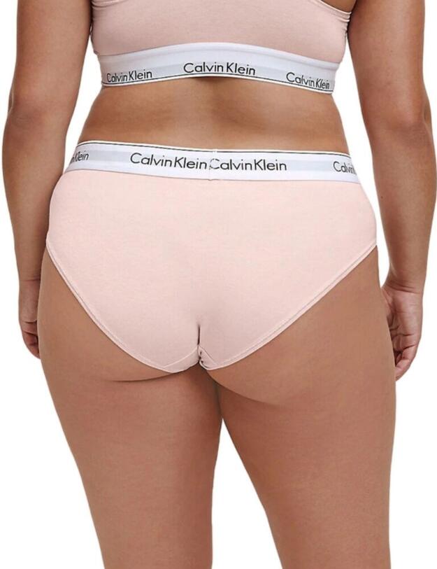 000QF5118E Calvin Klein Modern Cotton Plus Hipster Panty - QF5118E Nymphs Thigh 